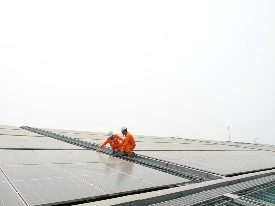 Tại các tổng công ty điện lực trực thuộc EVN